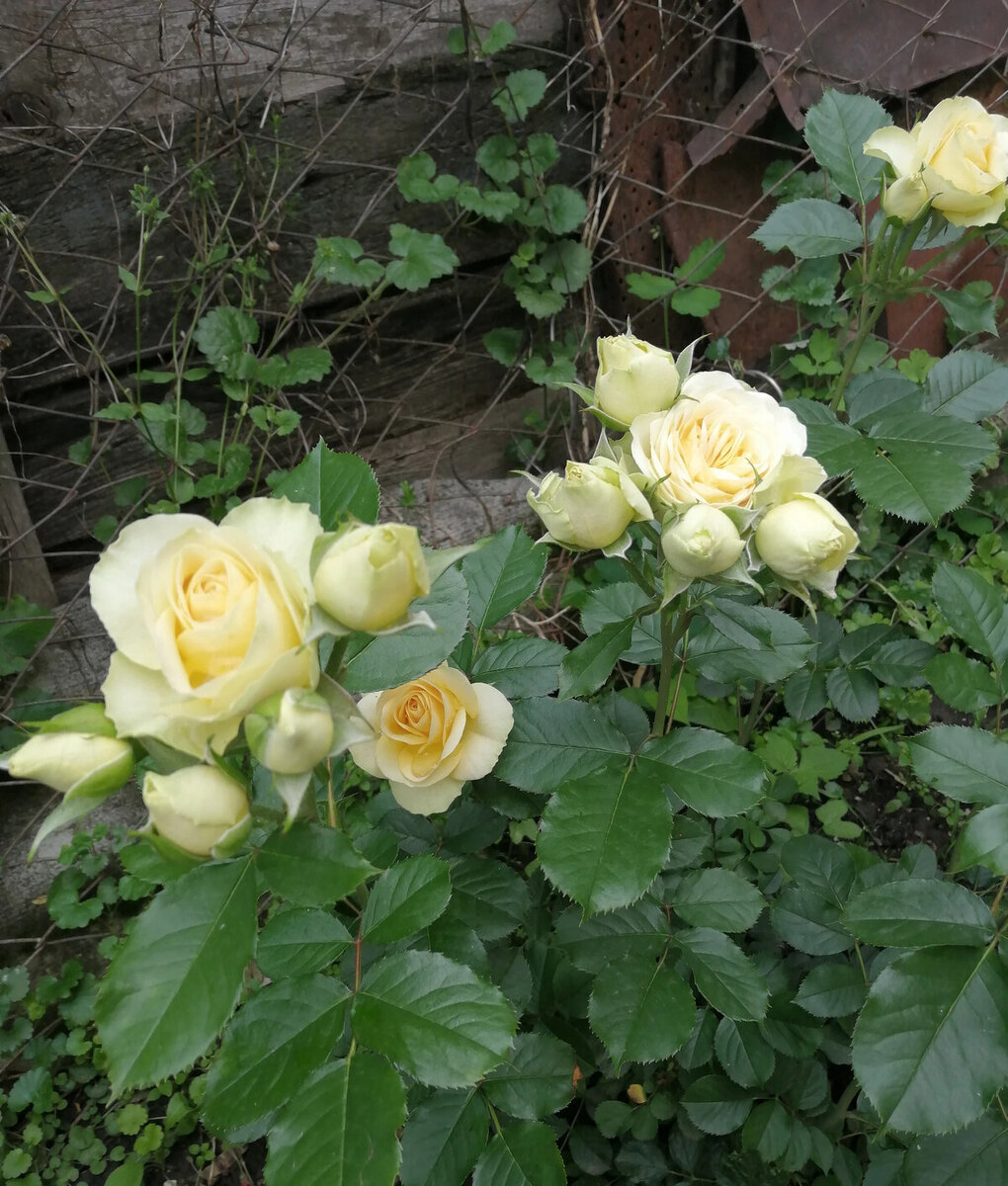 фото Валентины