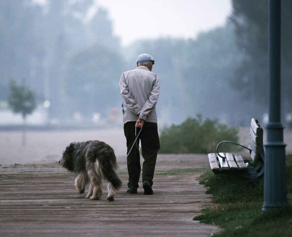 Фото взято из открытых источников 