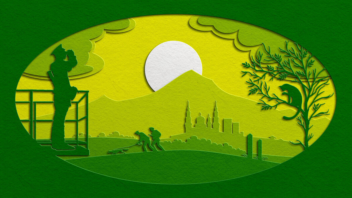 изображение Сергей Комбаров