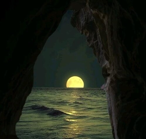 Картинка из свободного доступа 