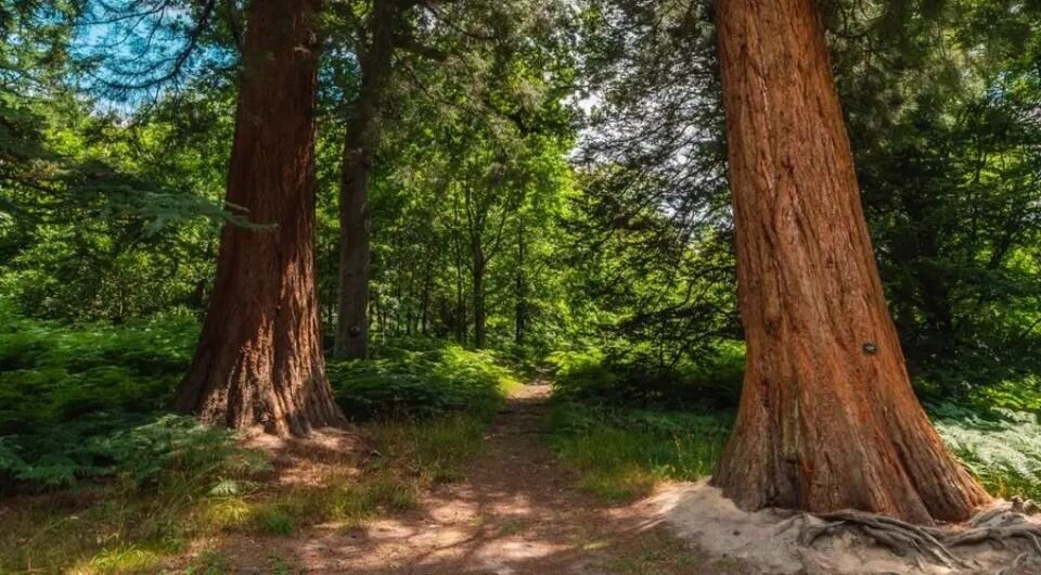   University College London