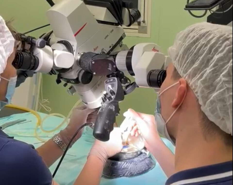 Тестирование анатомических моделей CML AT Medical