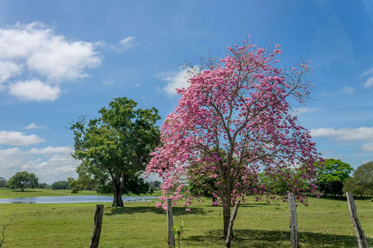 Картинка с бесплатного фотостока https://unsplash.com, автор Ire Photocreative