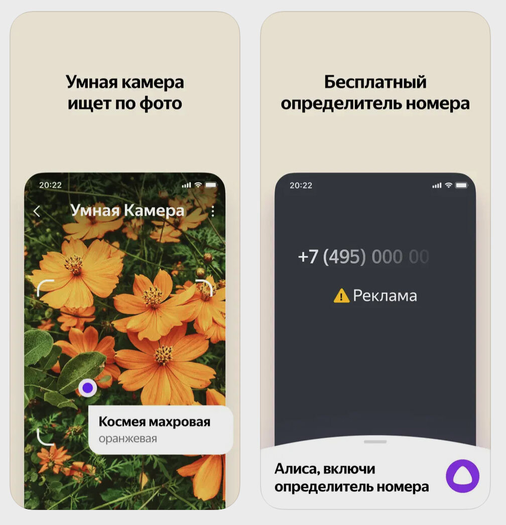 Как включить определитель номера на iPhone. 6 самых эффективных приложений  | iPhones.ru | Дзен