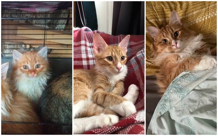 Спасти бывшего. Художественные книги про онкологию медицина. Преподобный симео́н (желнин), псково-печерский, иеросхимонах. Спасение книга. Спасти бывшего.