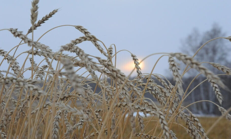 Ставьте лайк, если вам понравилась публикация. Подписывайтесь на канал и будьте в курсе отраслевых событий.