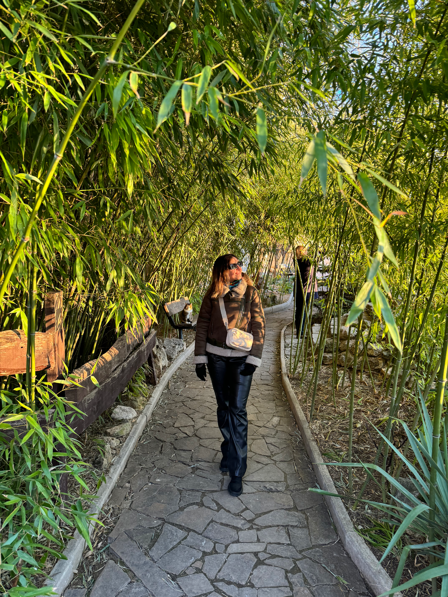 Ну где еще в средине января можно фотографироваться в зеленом бамбуковом лесу?