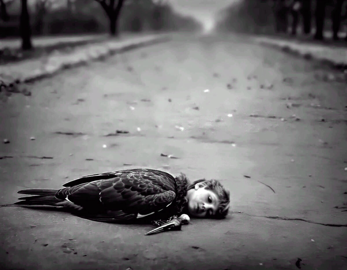 Пограничное и нарциссическое расстройства – это частные случаи шизоидности