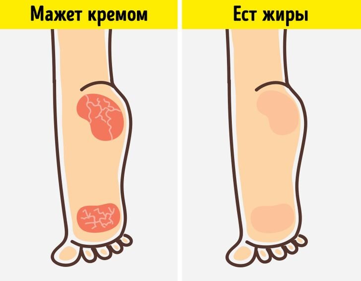 Дейтсвие жиров на организм человека. Взято из открытых источников
