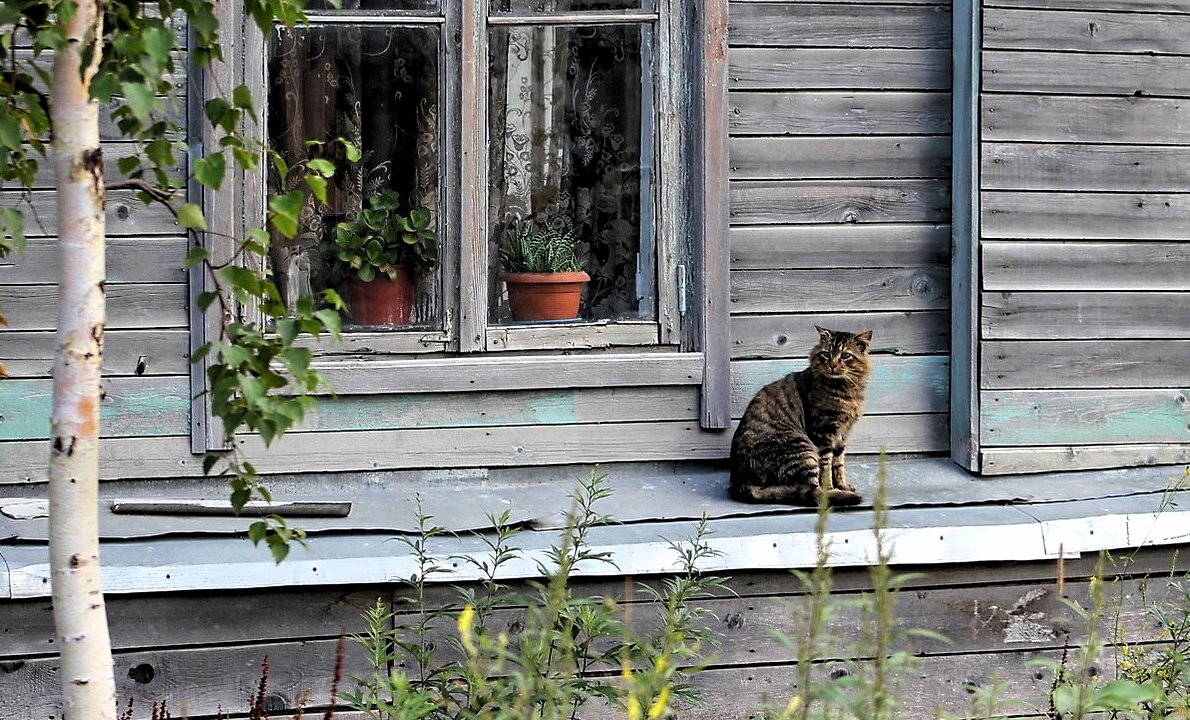 Ах, потеснись, завалинка, своим признай меня!». А признает ли? |  Деревенский дед | Дзен