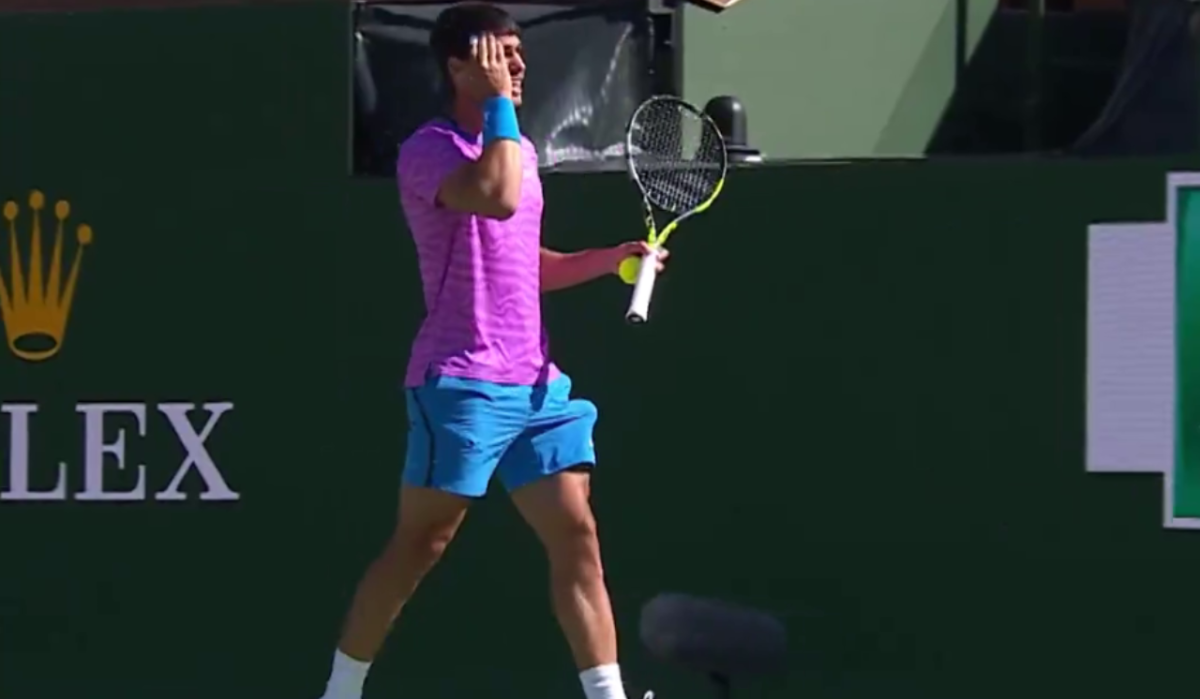     Пчёлы атаковали теннисистов. Источник: t.me/sportrian Автор фото: Скриншот видео