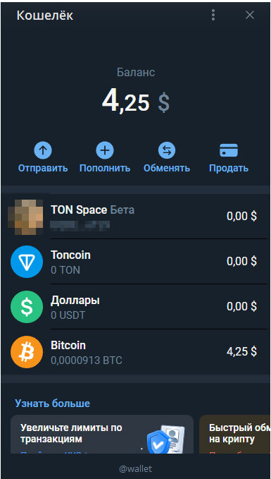 Вид кошелька и вкладка Ton Space