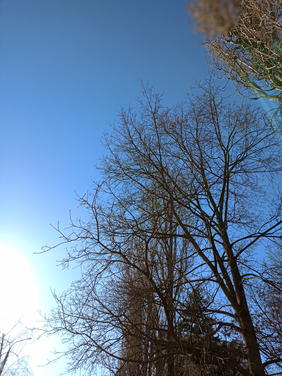 Скоро солнышко пригреет и герой статьи выйдет на охоту