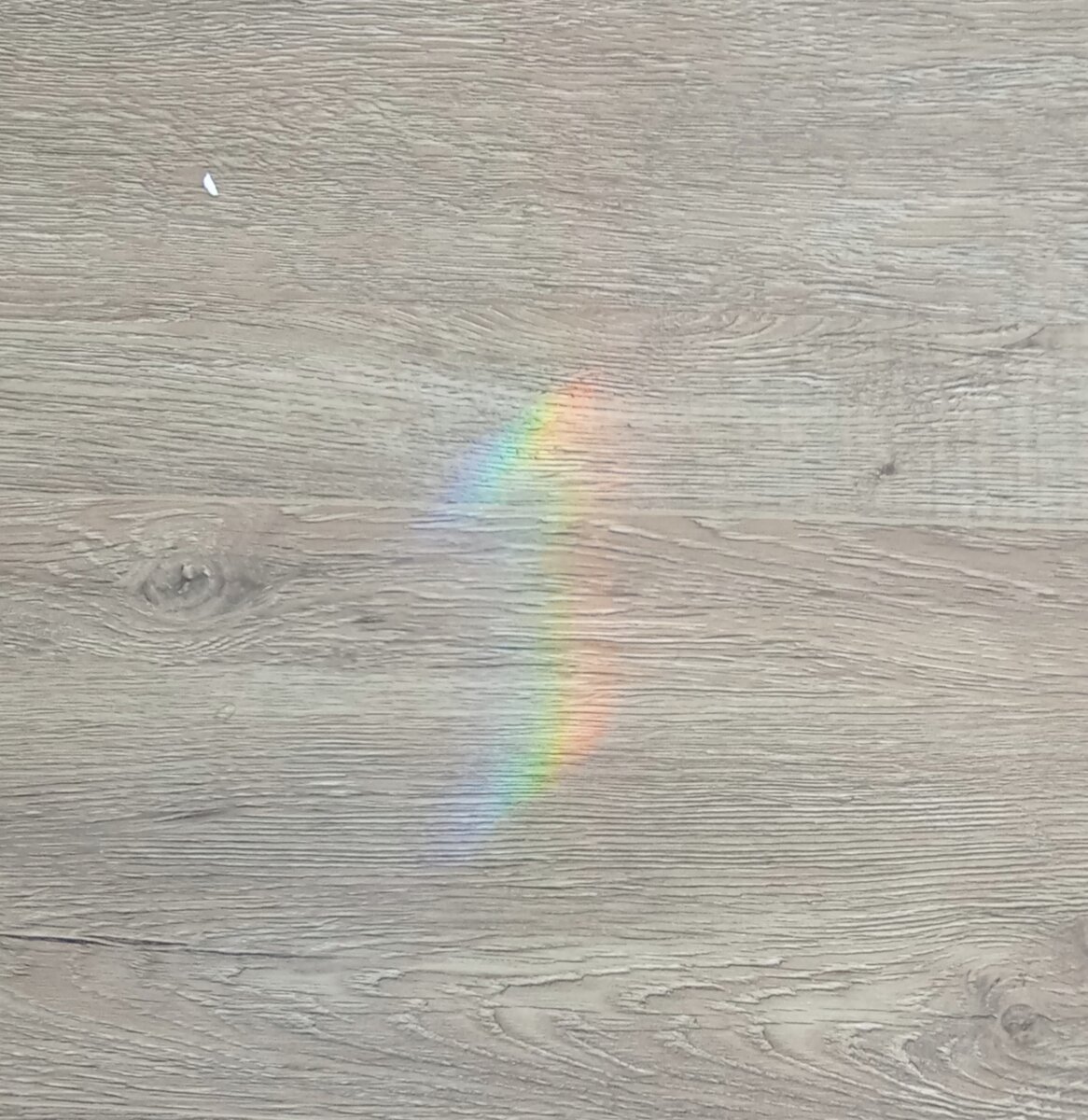 Кусочек радуги вам для настроения. Фото автора.