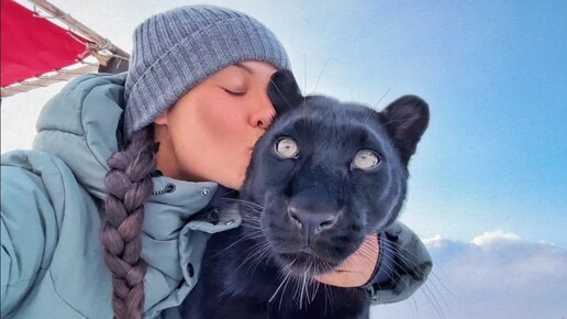 Пантера Луна и ротвейлер Венза встречают Викулю 😸🐾