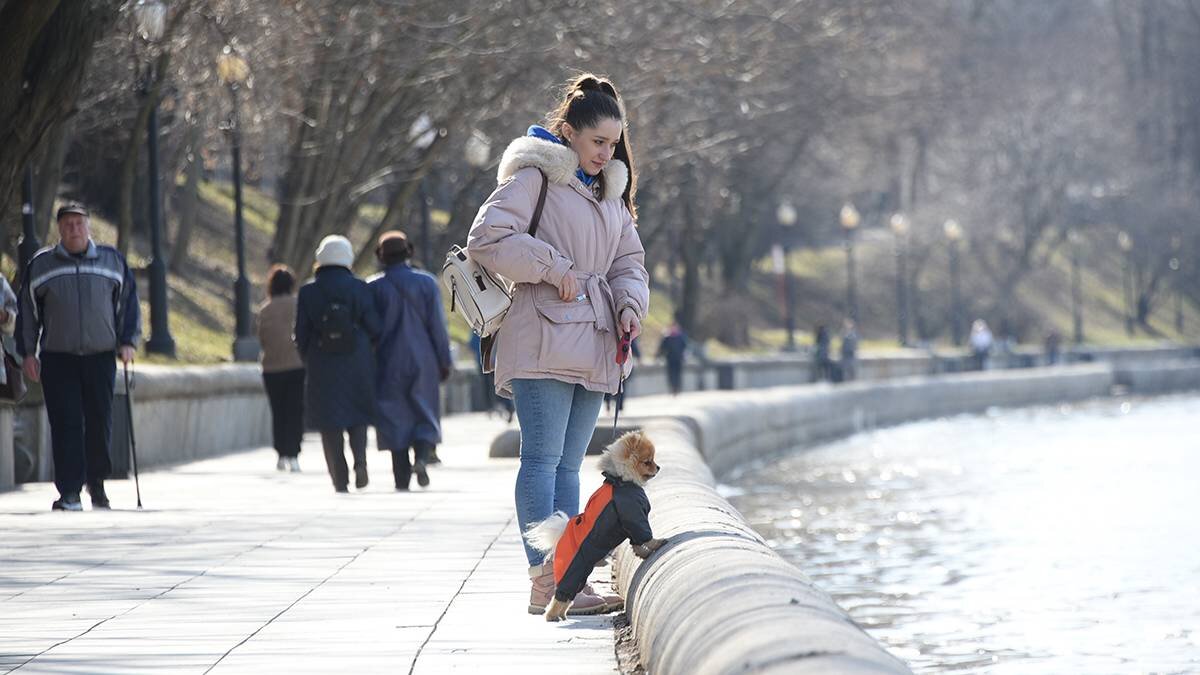    Фото: Пелагия Замятина / Вечерняя Москва