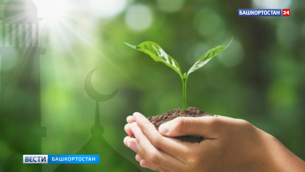    В Башкирии запущен новый лизинговый продукт по шариатским стандартам