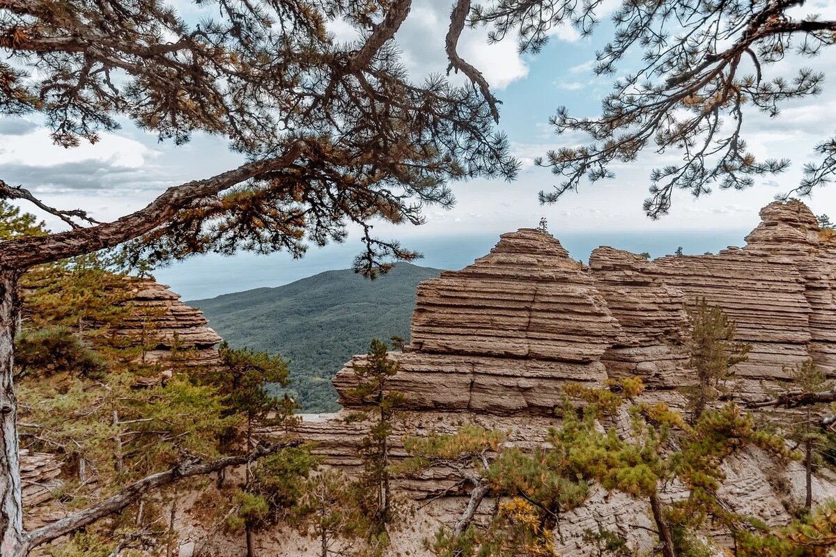 Таракташ // Фото: Ксения Гасица 