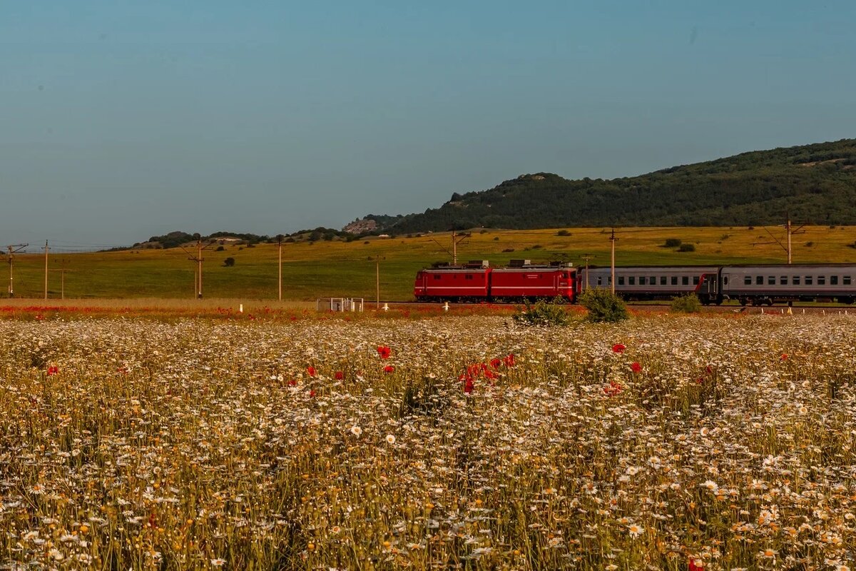  Цветущие поля в Бахчисарайском районе // Фото: Ксения Гасица 