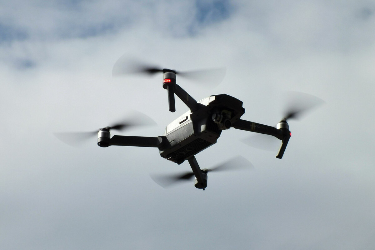 Фото: Victor Lisitsyn, Виктор Лисицын / Global Look Press 