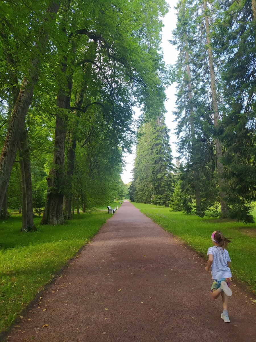 Парк Ораниенбаума