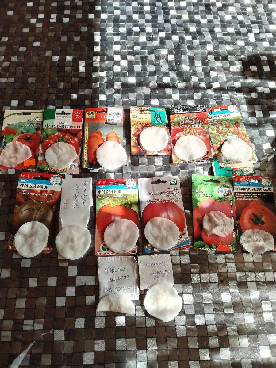 Помидоры посеяны, ждём урожай! 