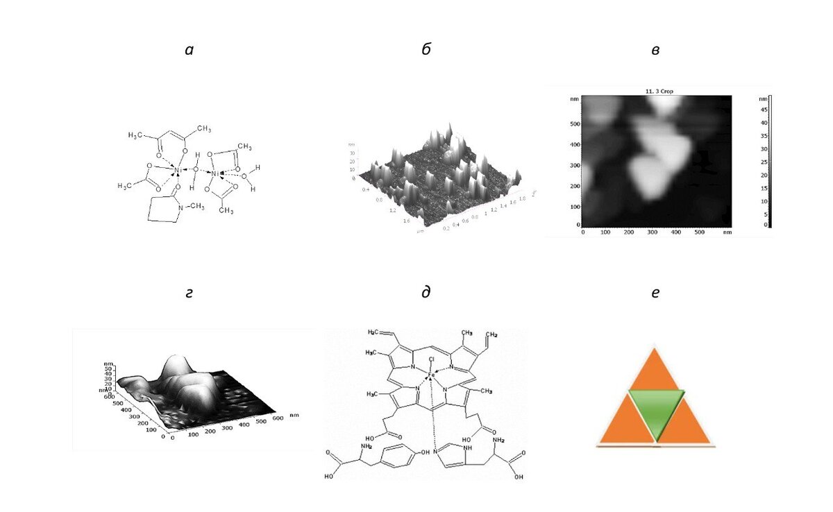 Предполагаемая структура супрамолекулярногокомплекса Ni2(OAc)3(acac)NMP·2H2O («А») (а); 3D АСМ-изображение супрамолекулярных наночастиц на основе Ni2(OAc)3(acac)NMP·2H2O (б), образовавшихся на поверхности модифицированного кремния. 2D АСМ- (в) и 3D (г) изображения стабильных супрамолекулярныхструктур на основе модельных комплексов {Hem•Tyr•His} (Hem=Hemin, Tyr=L-tyrosine, His=L-histidine). Одна из возможных треугольных структур комплекса {Hem•Tyr•His}, образующихся в результате межмолекулярного взаимодействия за счет Н-связей NH•••O или N•••HO (д). Объединение отдельных треугольников в треугольные структуры (по аналогии с треугольными мотивами Серпинского) (е).
