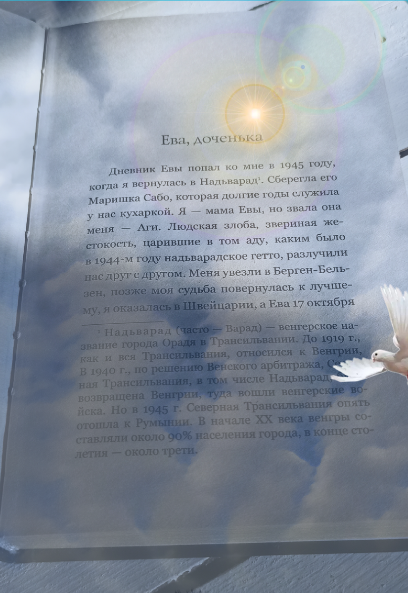 #ДневникЕвыХейман#АгнесЖолт#  Фото автора канала 