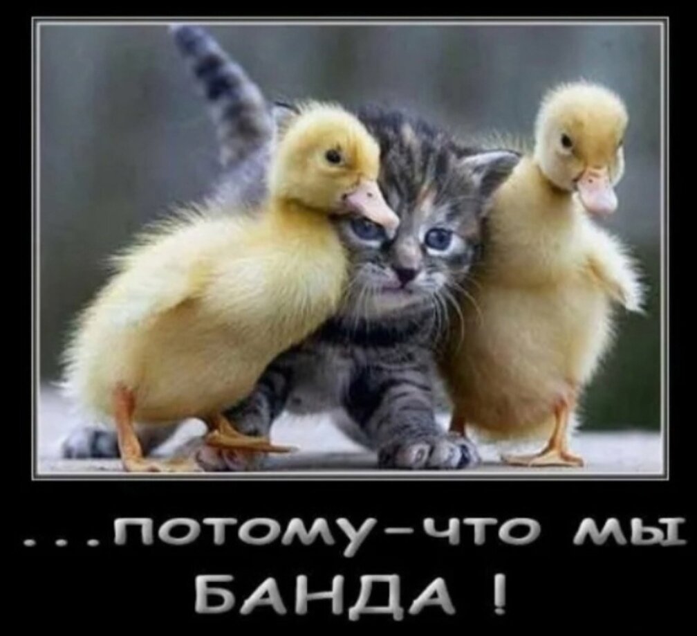 Пока мы живы можно все исправить цитаты. Живой мем. Стих пока мы живы. Живой мем. Афоризмы о природе.