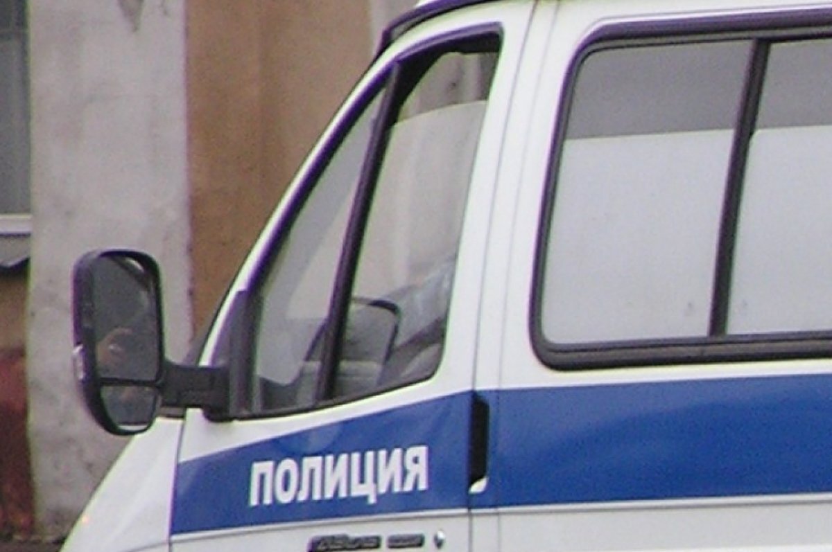    Двух женщин, заливших бюллетени зеленкой в Воронежской области, задержали