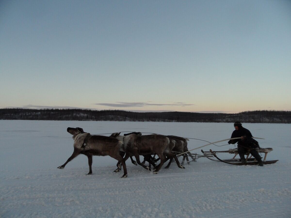    Путешествие по ямальской тундре: в гостях у аборигенов© РИА Новости / Карина Ивашко
