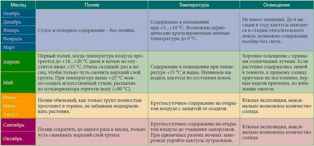 Календарь полива домашних цветов на январь 2025 Календарь цветения орхидей 2015 Цветочный Рай Магазин цветов и других товаров ВК