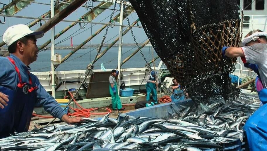 Японские рыбаки (иллюстрация из открытых источников)