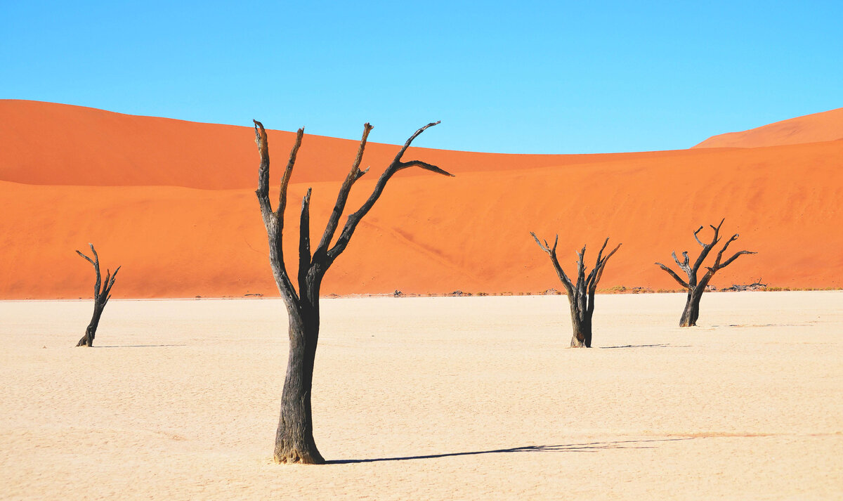 Фото взято с www.piqsels.com