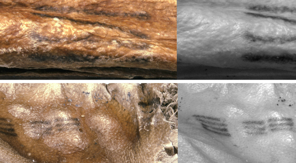   Marco Samadelli et al. / Journal of Cultural Heritage, 2015