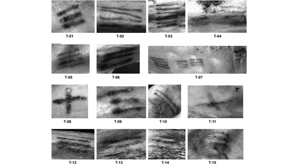   South Tyrol Museum of Archaeology; Aaron Deter-Wolf et al. / European Journal of Archaeology, 2024