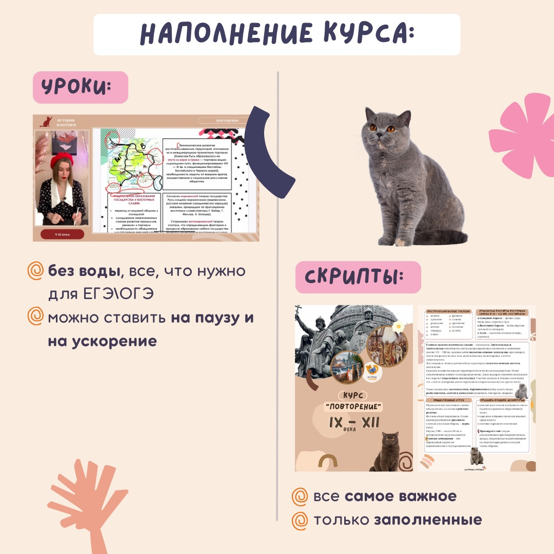 Общество и котики егэ