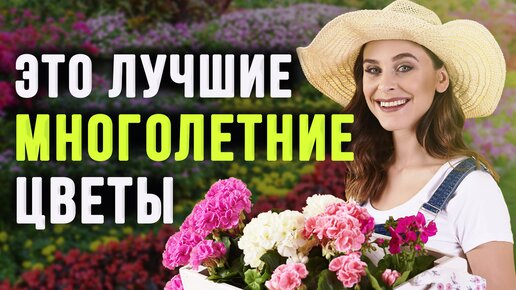 ТОП-10 Неприхотливых Многолетних Цветов Для Сада 🌸 ЭТИ Красивые ЦВЕТЫ Сможет Вырастить КАЖДЫЙ!