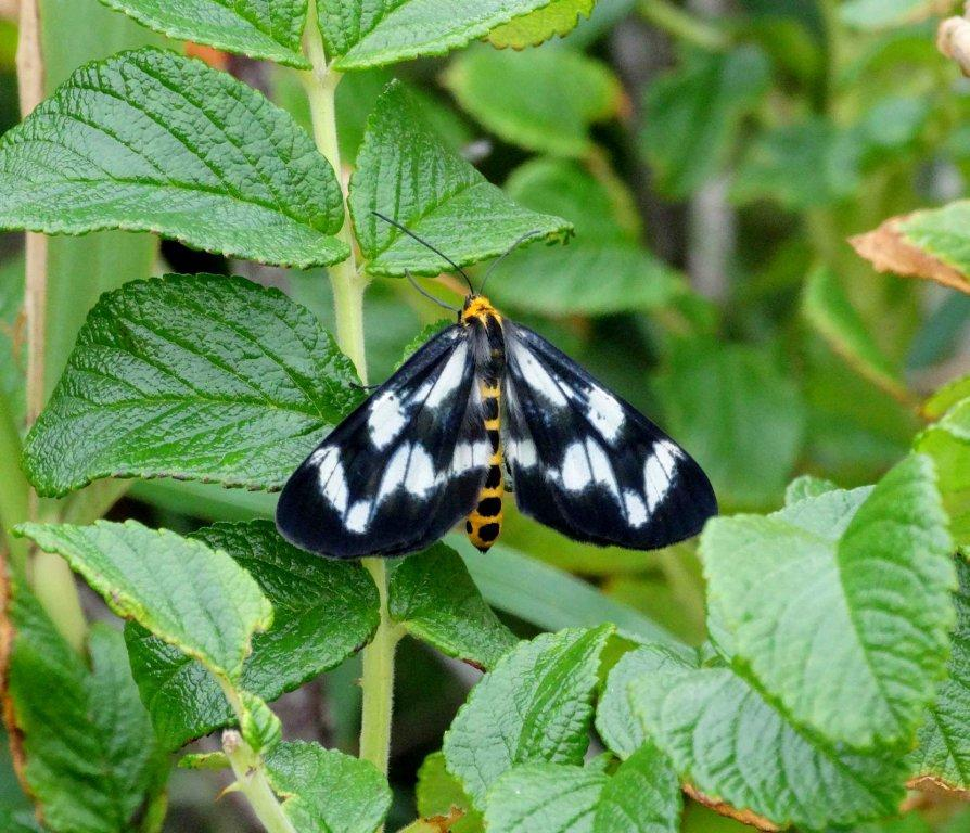 Фото из открытых источников.