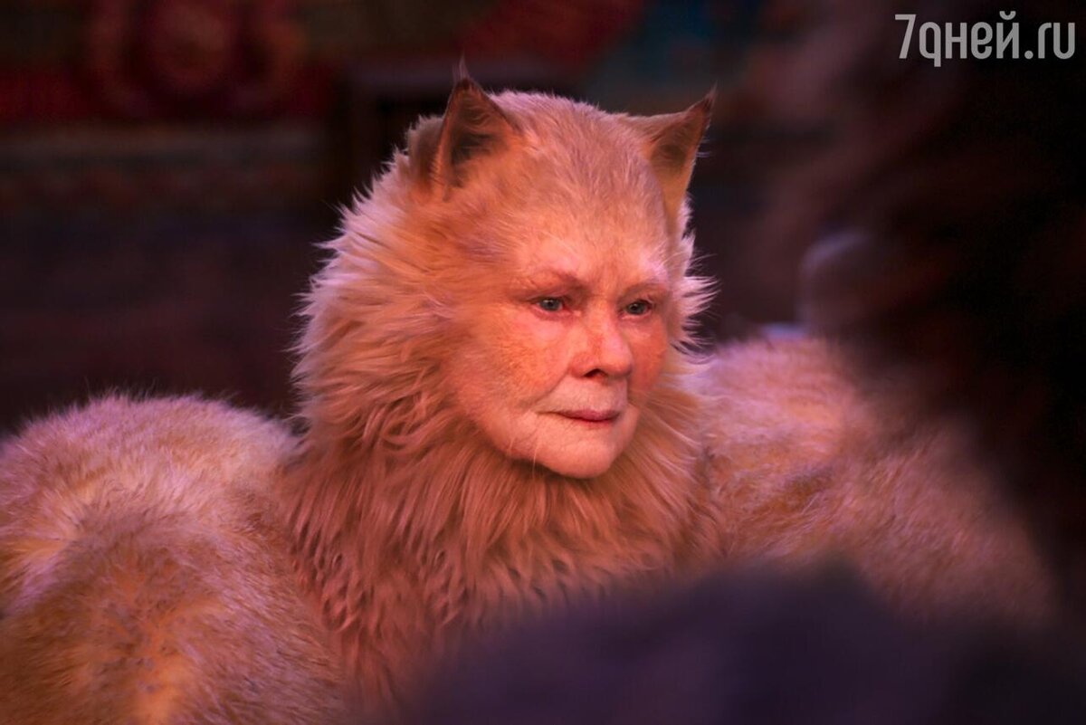    «Кошки», 2019 кадр из фильма