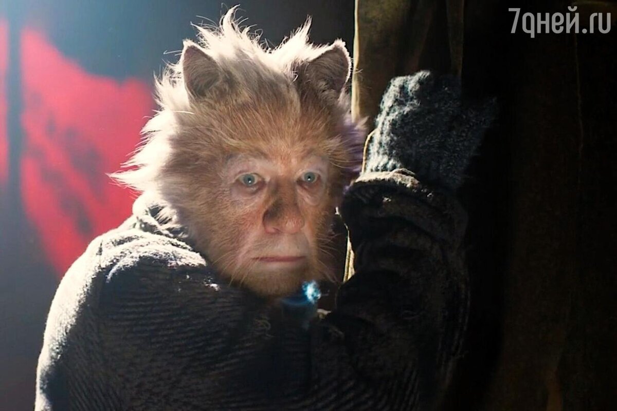    «Кошки», 2019 кадр из фильма