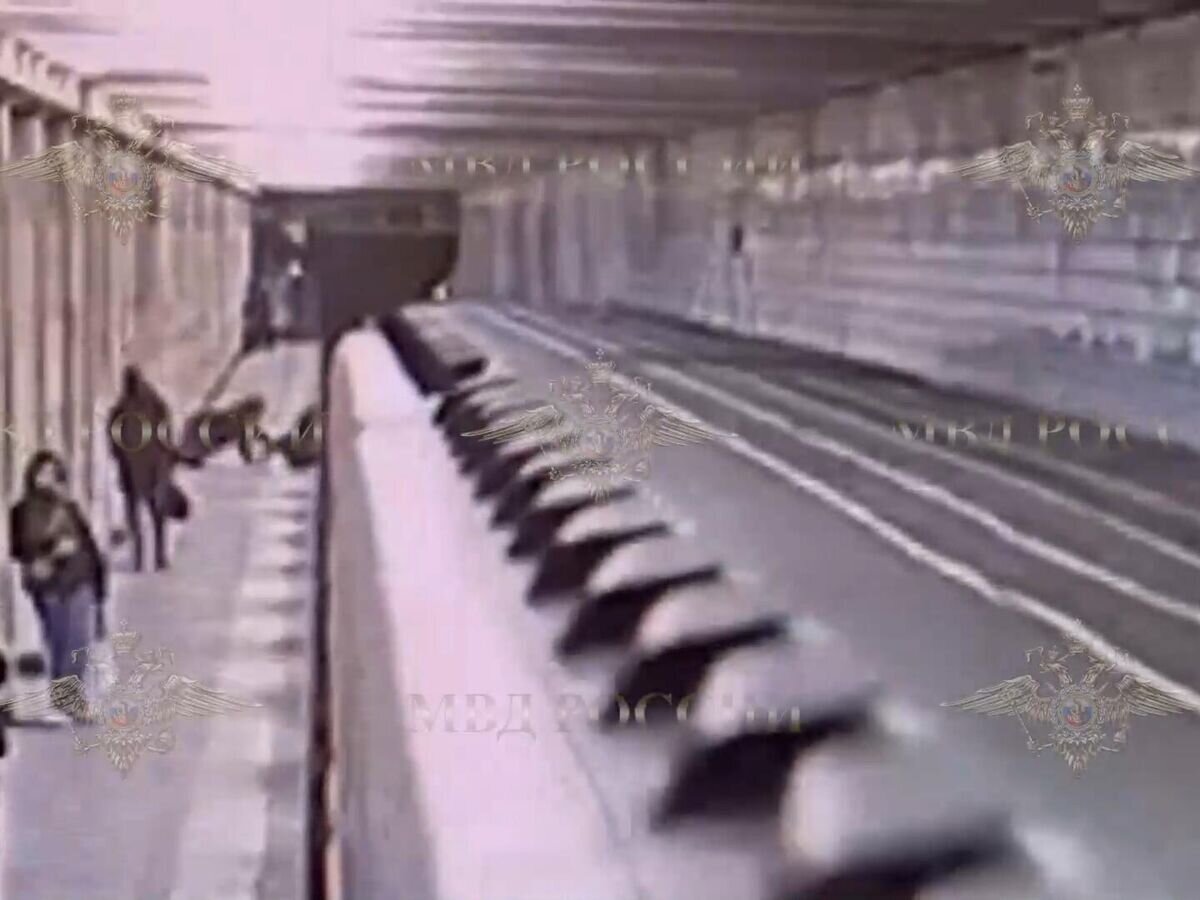    Момент нападения мужчины на девушку в московском метро© МВД РФ