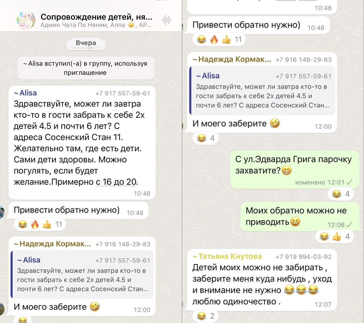 Сообщения в чате поиска нянь одного из районов Москвы