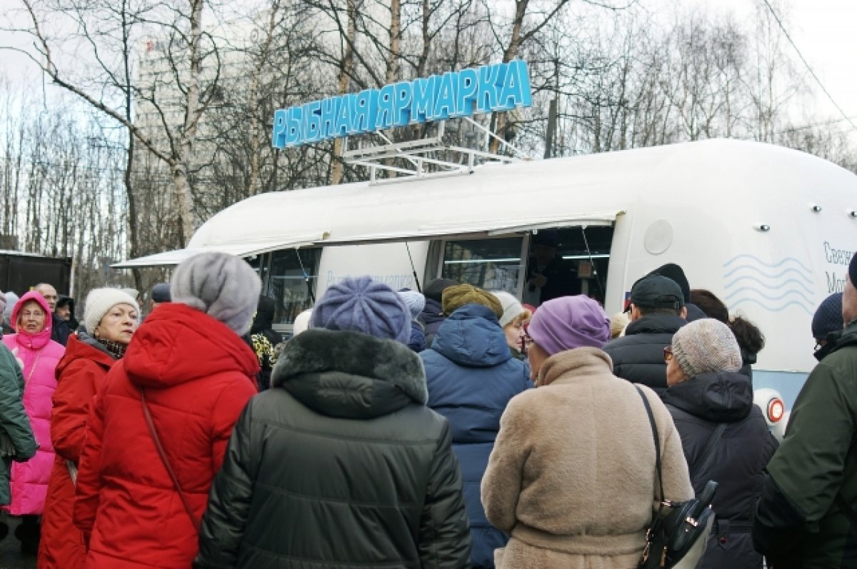    Мурманчане и гости города всю неделю стоят в огромных очередях.