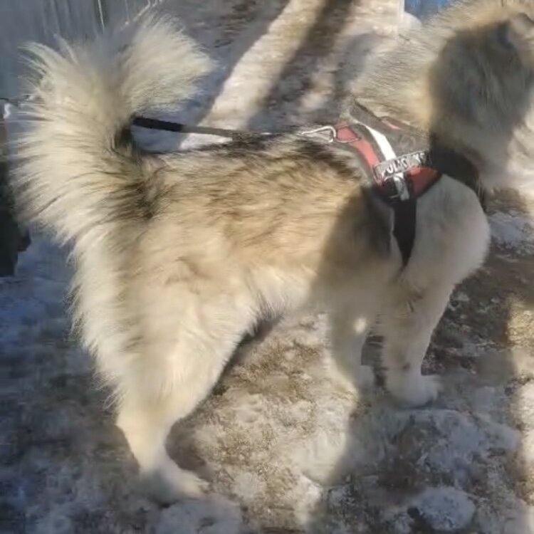 -1-3