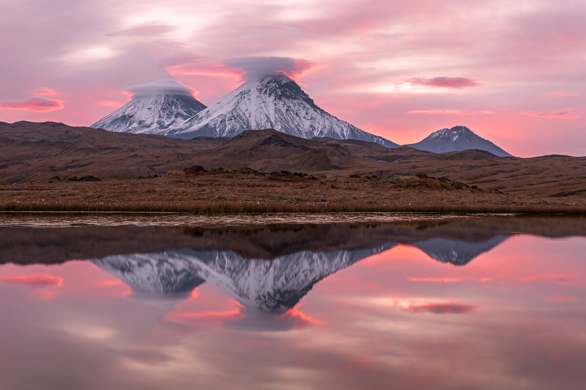 Алексей Королев