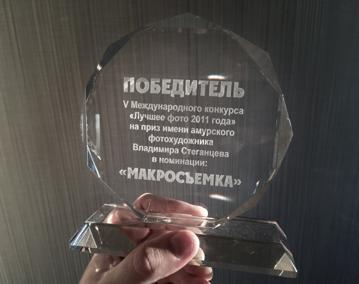 Награда из пыльного сундука