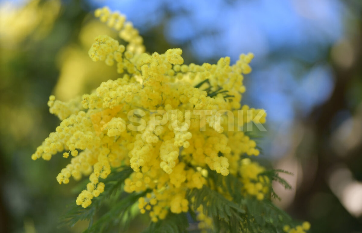 Фото © Sputnik, Томас Тхайцук