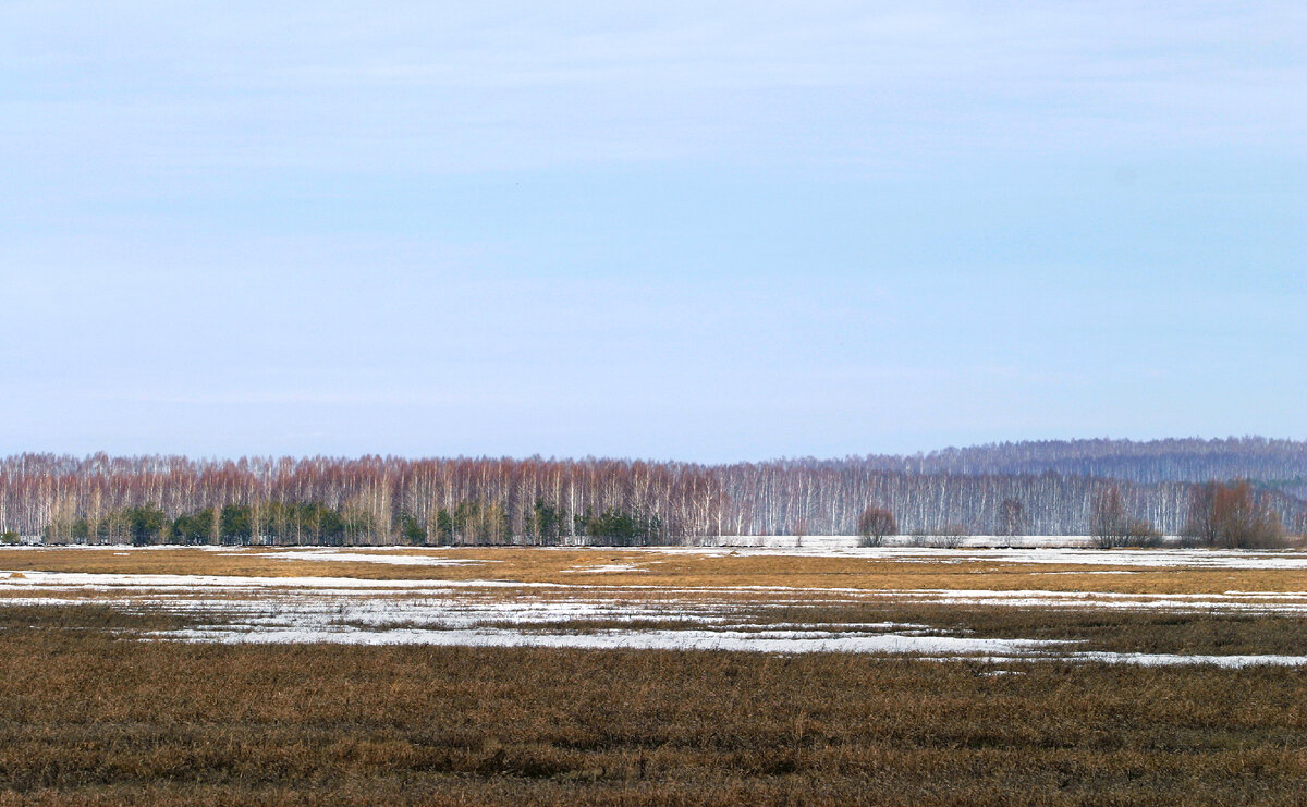 © vladimir salman/ Shutterstock 