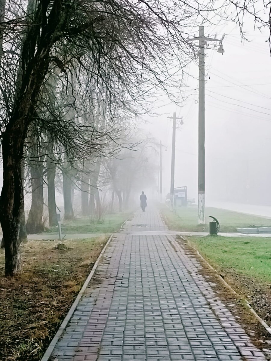 Про счастье быть собачником и Гришу с телефоном без звука (часть третья). |  Аутизм и школа | Дзен